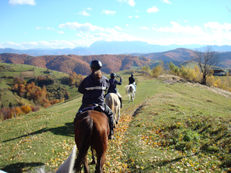 Abwechslungsreiche Landschaften