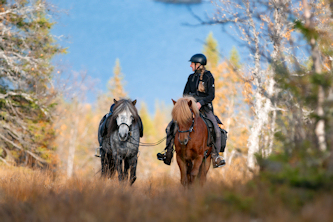 Reiterreisen Schweden