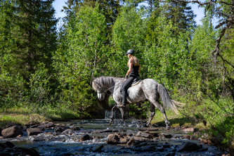 Reiturlaub Schweden