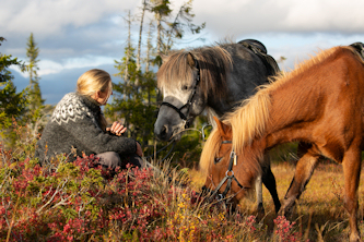 Reitferien Schweden