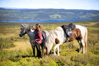 Westernreiten Schweden