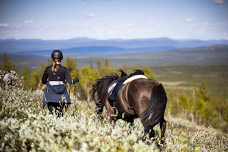 Westernreiten Schweden