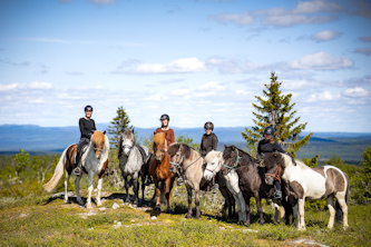 Westernreiten Schweden