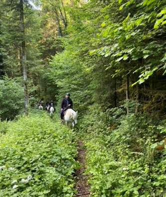 Reiterferien Schweiz