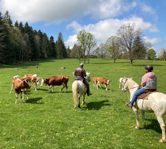 Reiterferien Schweiz