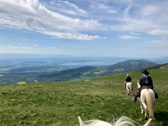 Reiterferien Schweiz