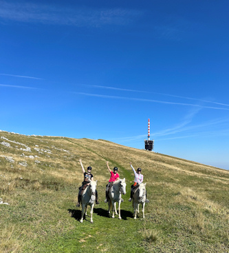 Reiterferien Schweiz