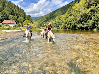 Reiterferien Schweiz