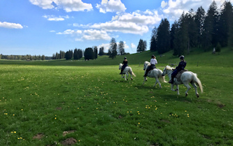 Reiterferien Schweiz