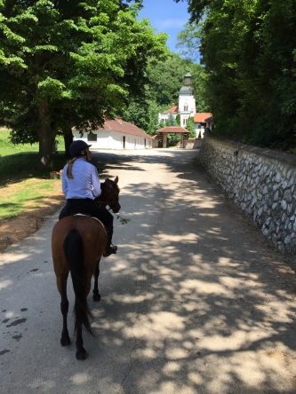 Reiten in Rumaenien im Winter