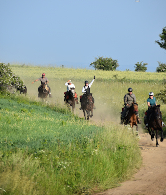 Reiten in Rumänien
