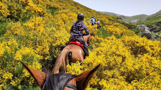 Trail in Nordspanien