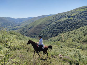 Trail in Nordspanien