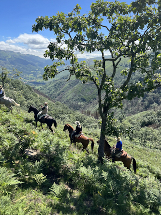 Trail in Nordspanien