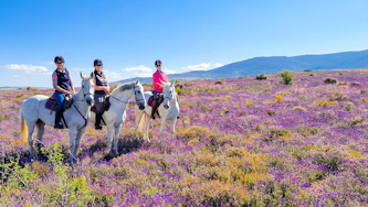 Reiten in Spanien