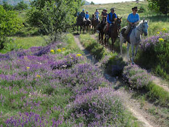 Reiten Türkei