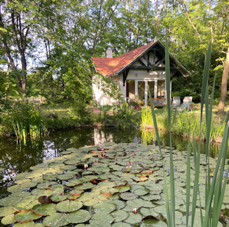 Reittouren Ungarn