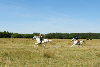 Reittouren Ungarn